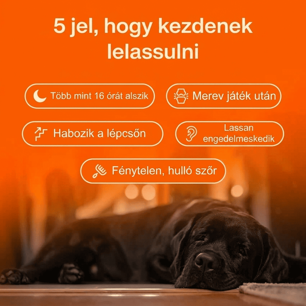 Keskia Protocol