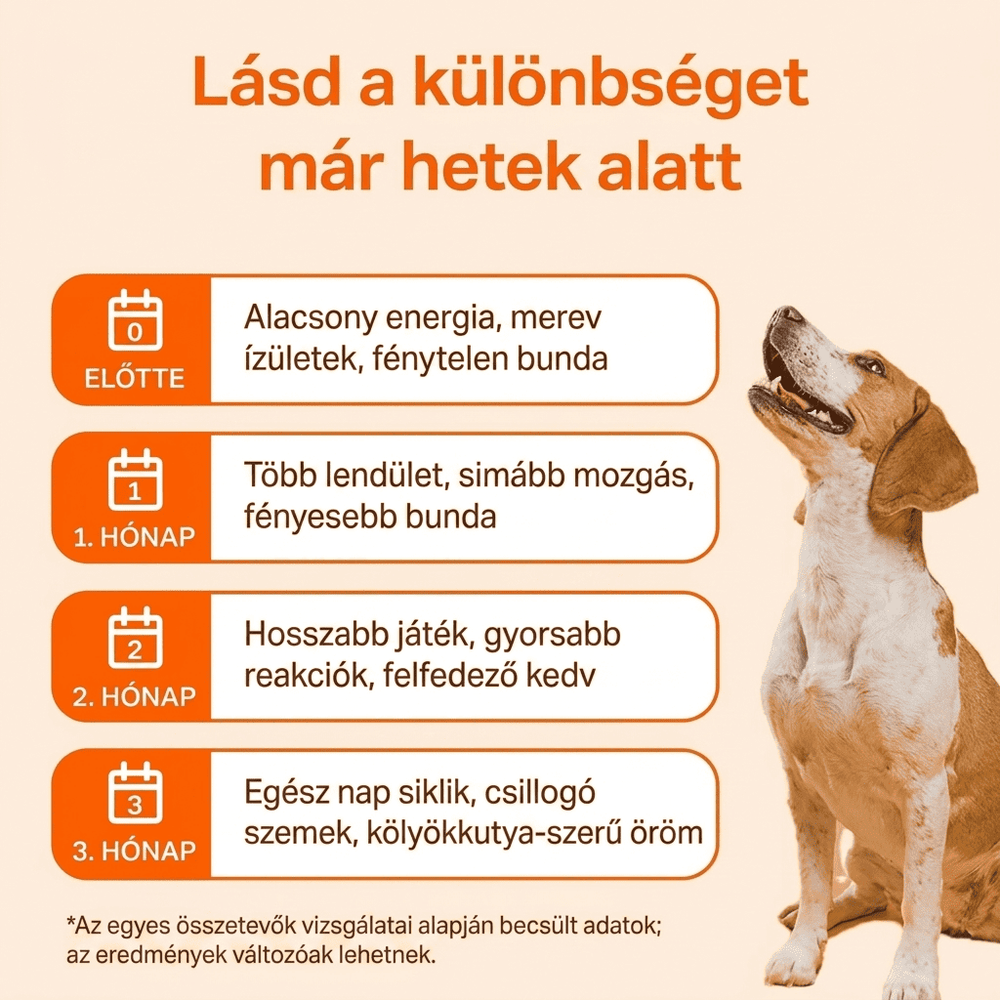Keskia Protocol