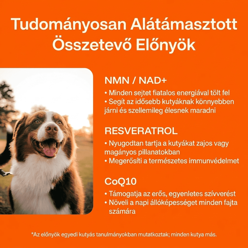 Keskia Protocol